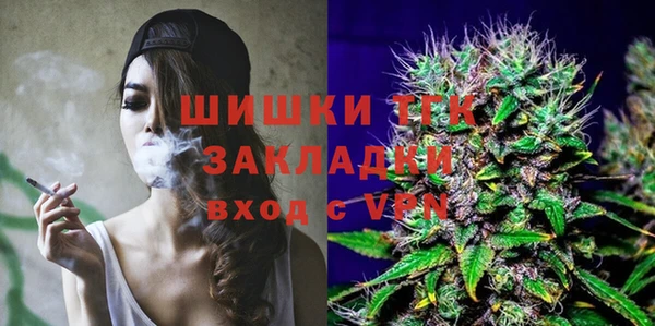 spice Аркадак