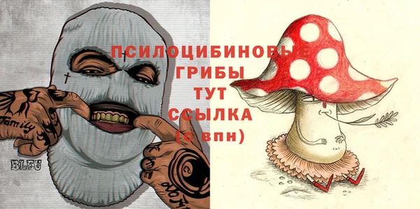 apvp Арсеньев