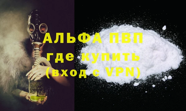 spice Аркадак