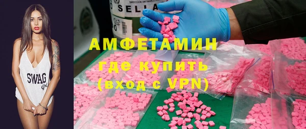 шишки Сатка