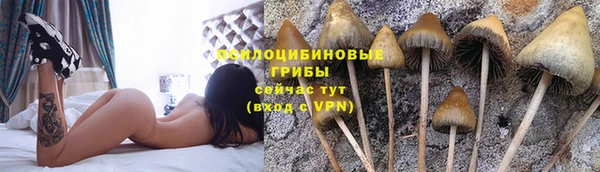 spice Аркадак