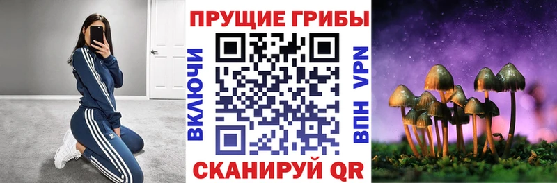 Псилоцибиновые грибы GOLDEN TEACHER где продают Маркс